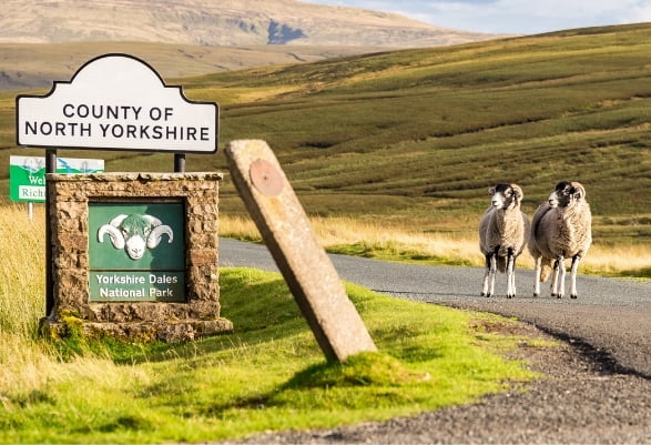 Yorkshire Day 2021